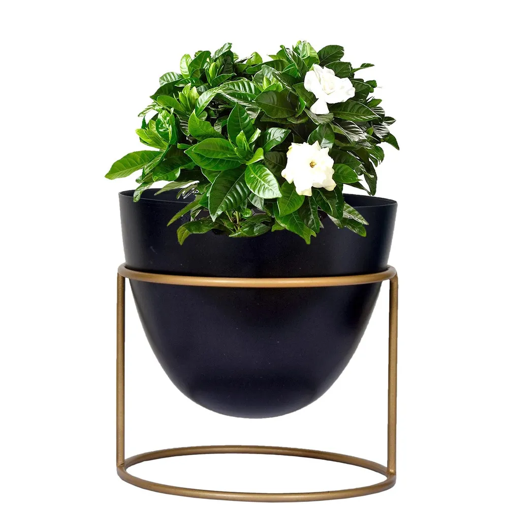 Lux Ovate Black & Gold Metal Desk Planter with Stand