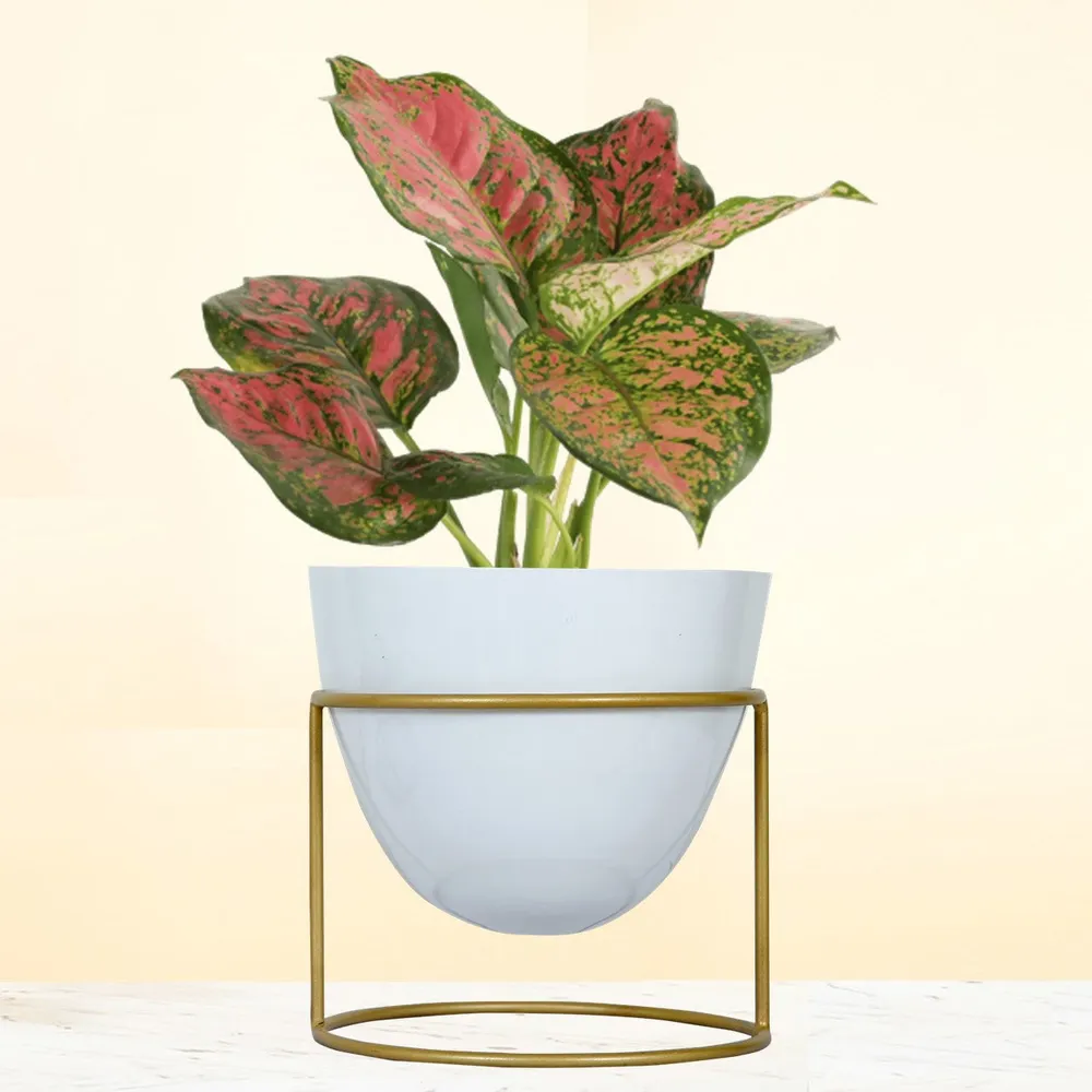 Lux Ovate White & Gold Metal Desk Planter with Stand
