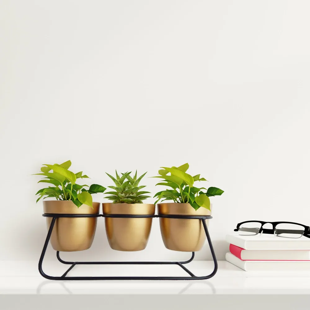 Lux Tapered Gold & Black Long Planter with Stand