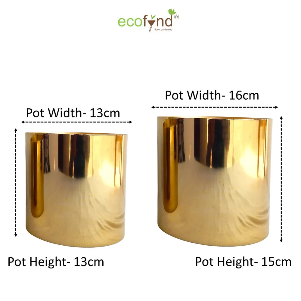 Luxurious Glossy Gold Metal Mini Desk Planter- Set of 2