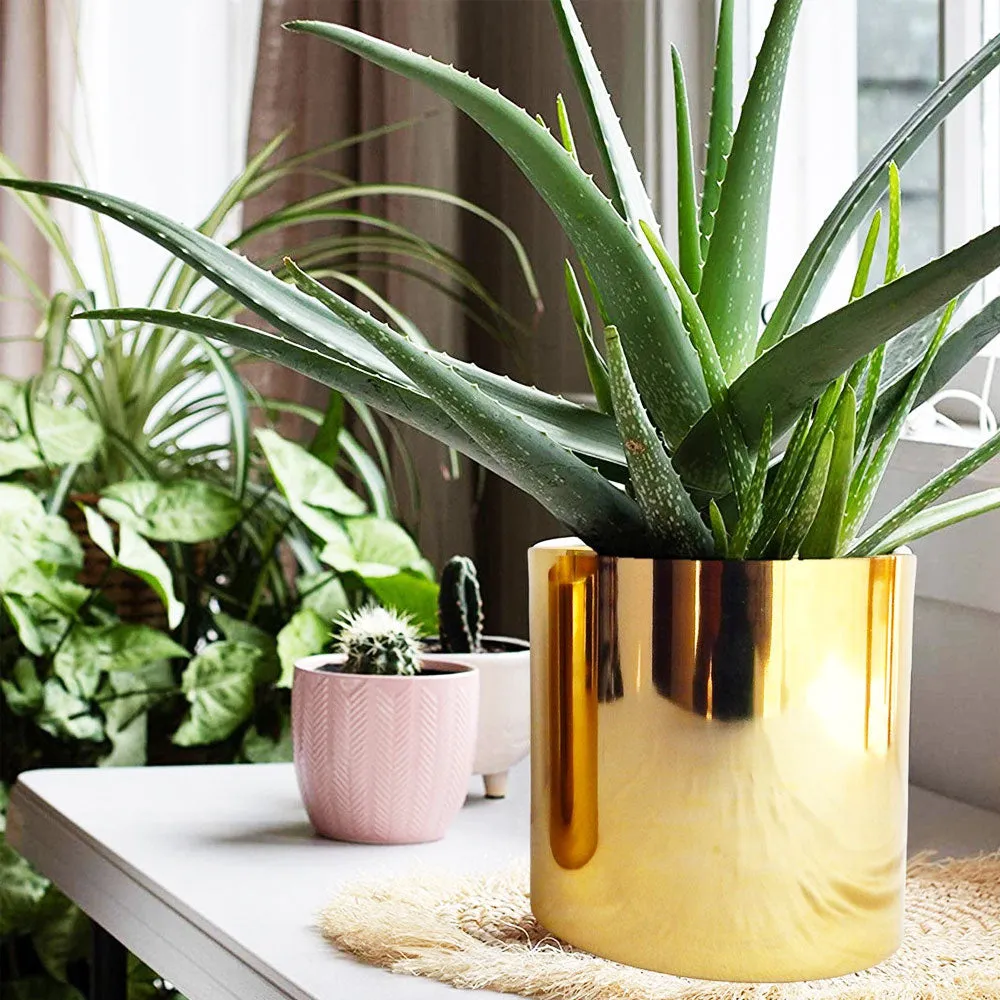 Luxurious Glossy Gold Metal Mini Desk Planter- Set of 2