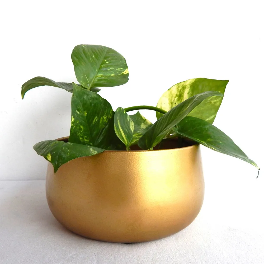 Luxurious Gold Metal Mini Desk Planter