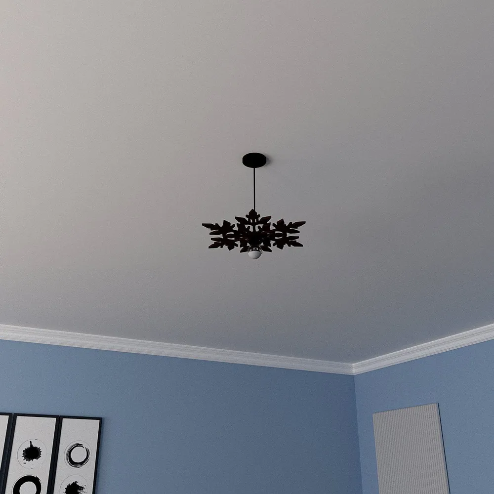Magical Cotyledons Ceiling Shadow Light
