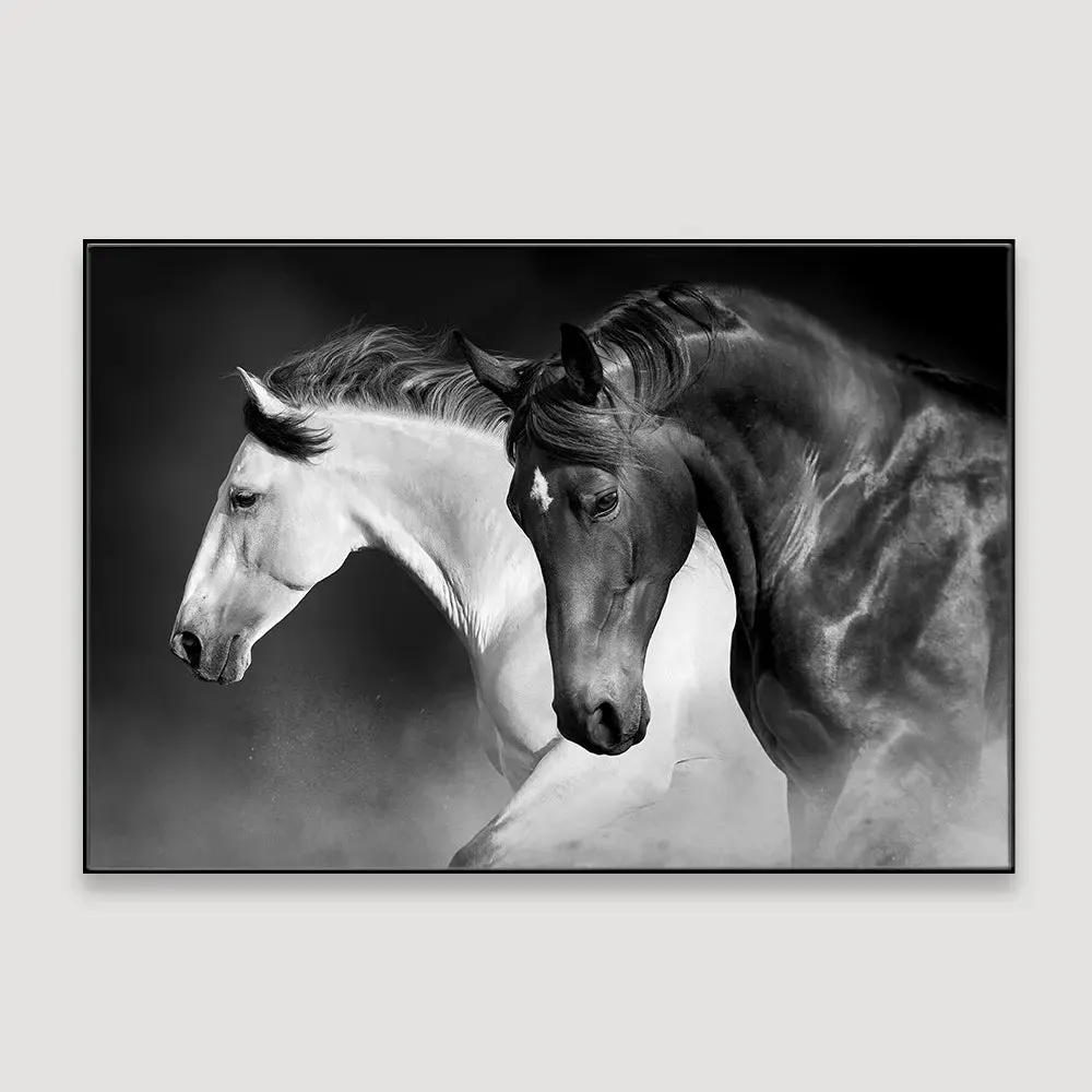 Majestic Stallions Framed Wall art With Floating Frame