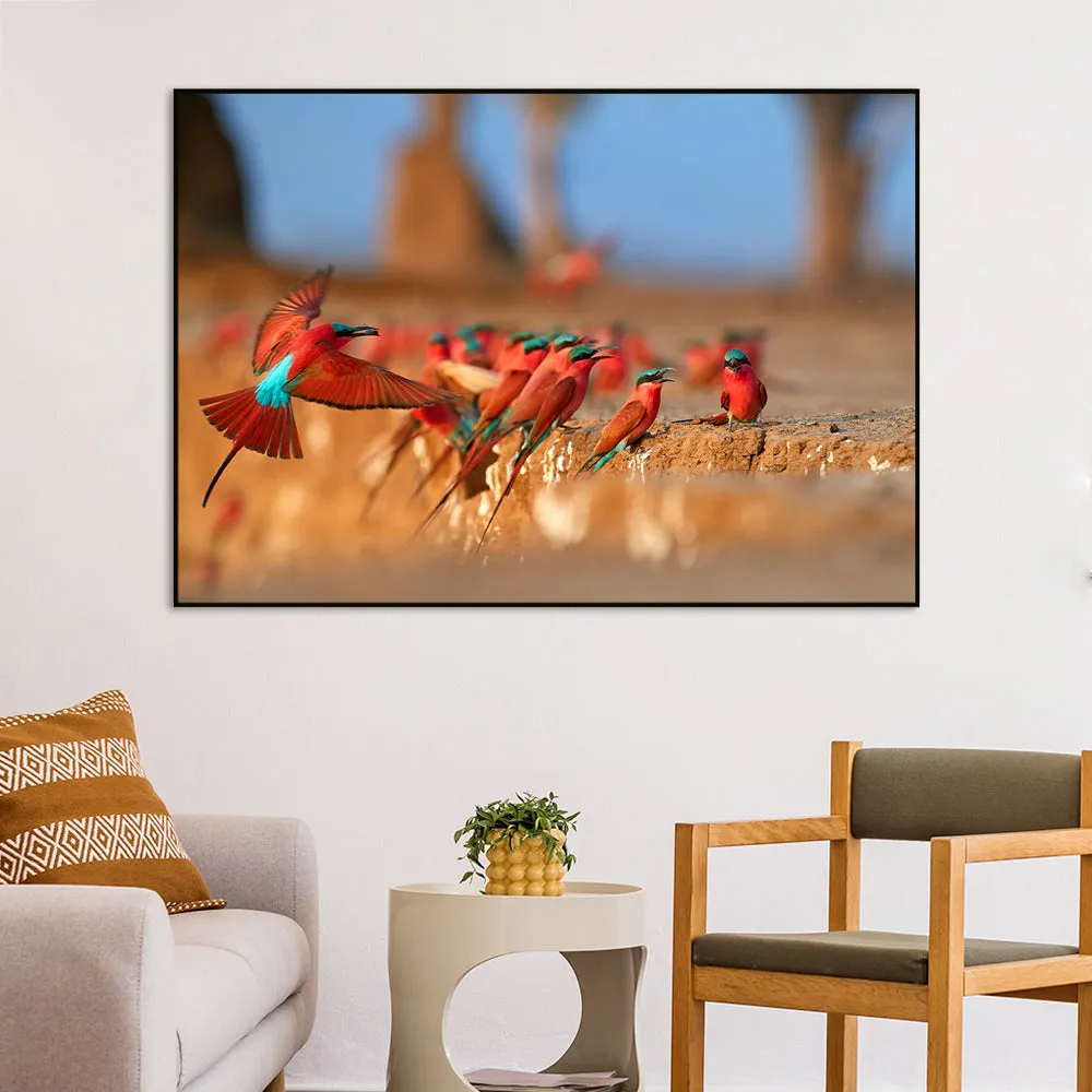 Mesmerising Red &amp; Blue-Winged African Birds Wall Painting With Floating Frame