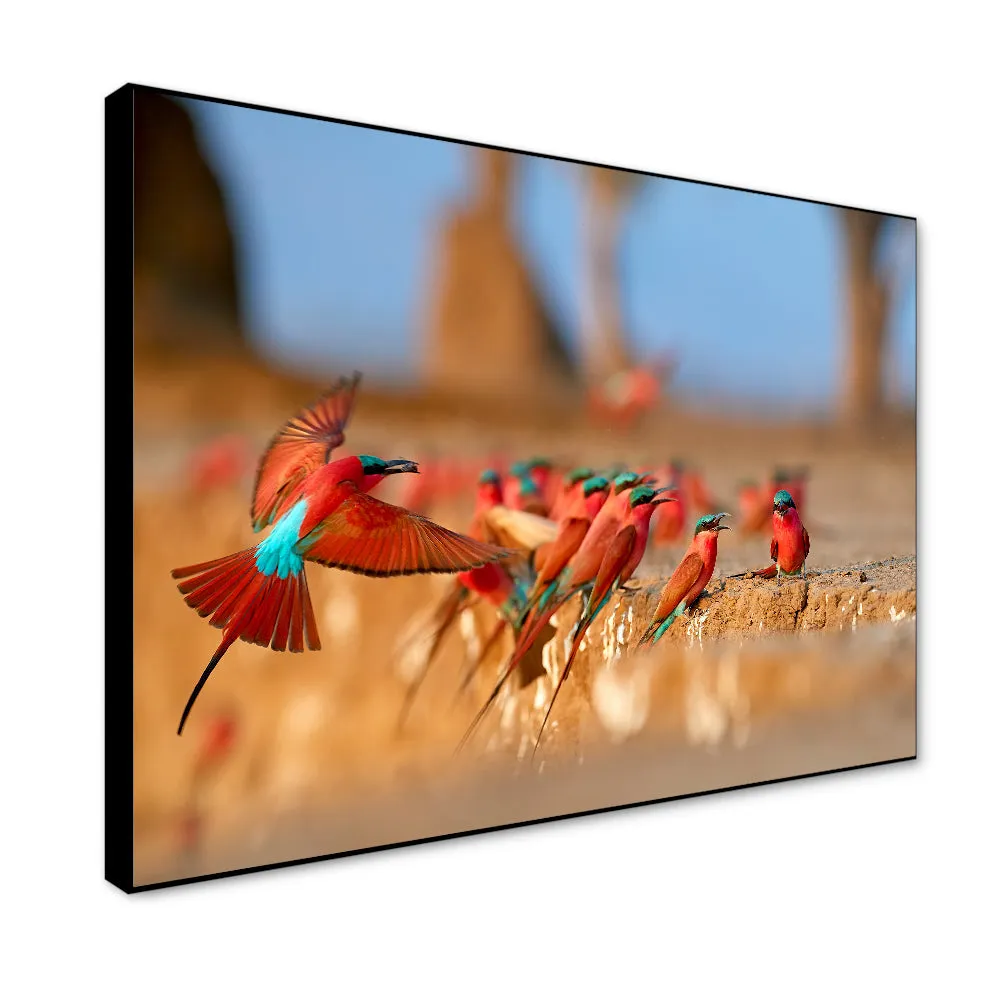 Mesmerising Red &amp; Blue-Winged African Birds Wall Painting With Floating Frame