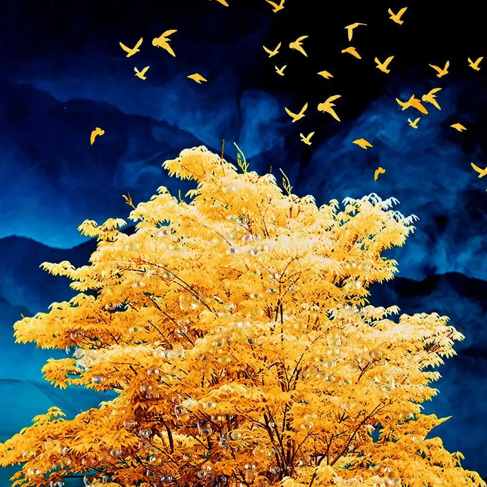 Mesmerising Tree Captured at Night Crystal Glass Art Wall Painting- Golden Frame