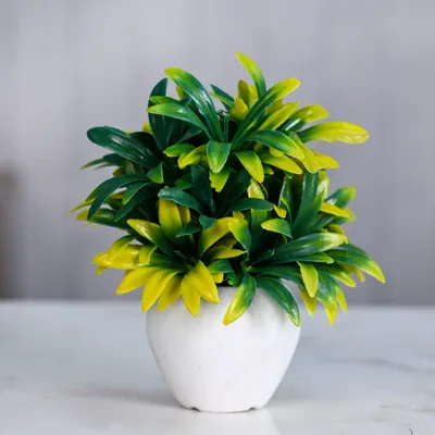 Mini Bunch Lush Yellow & Green Artificial Plant With Pot