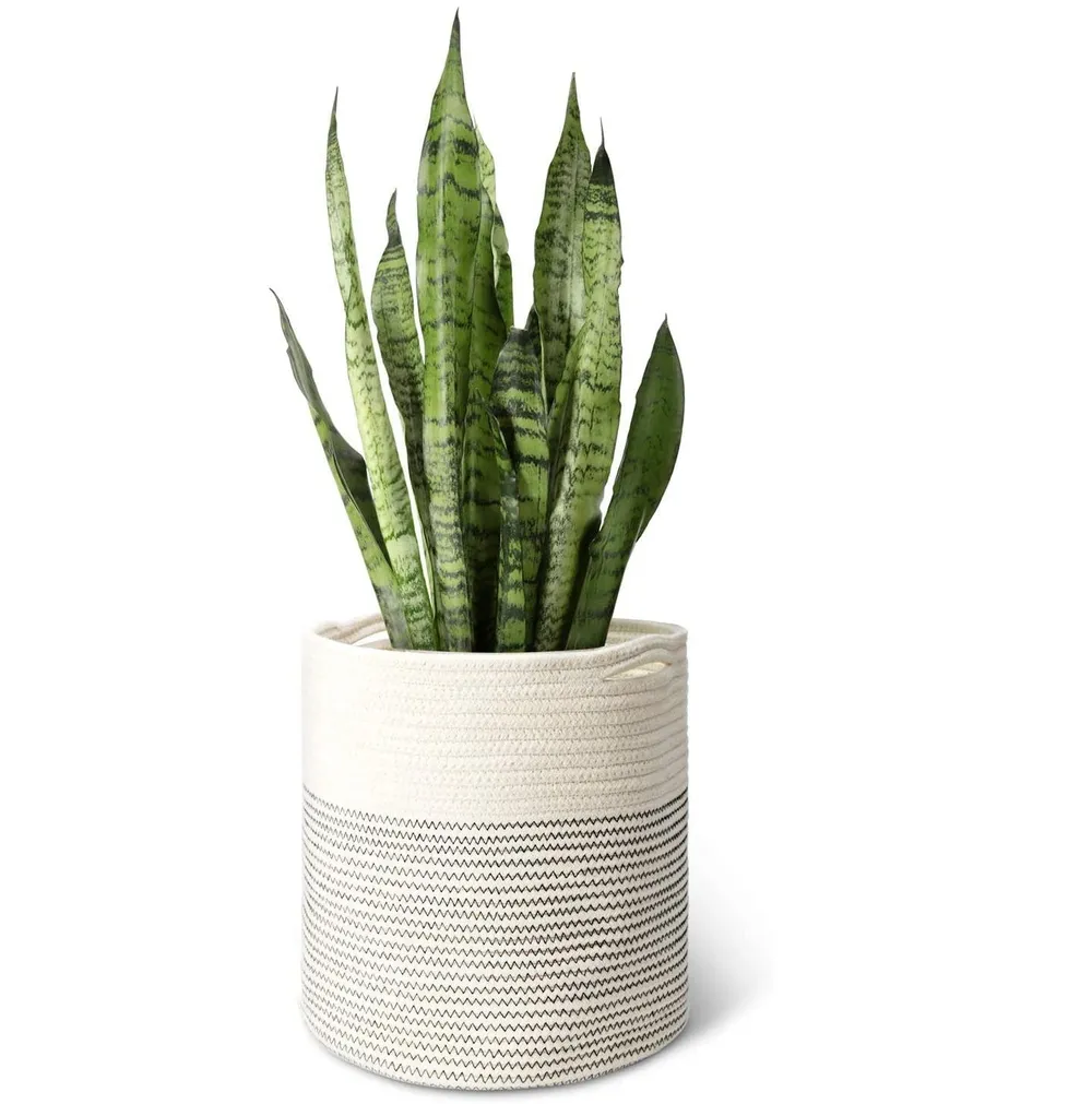 Minimalist Designer White & Black Woven Cotton Rope Planter Basket