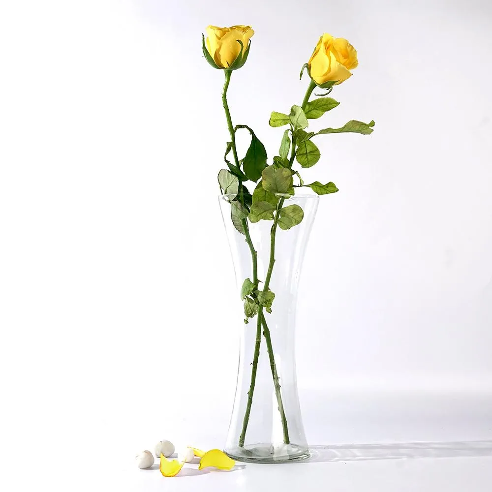 Minimalistic Concave Flower Glass Vase