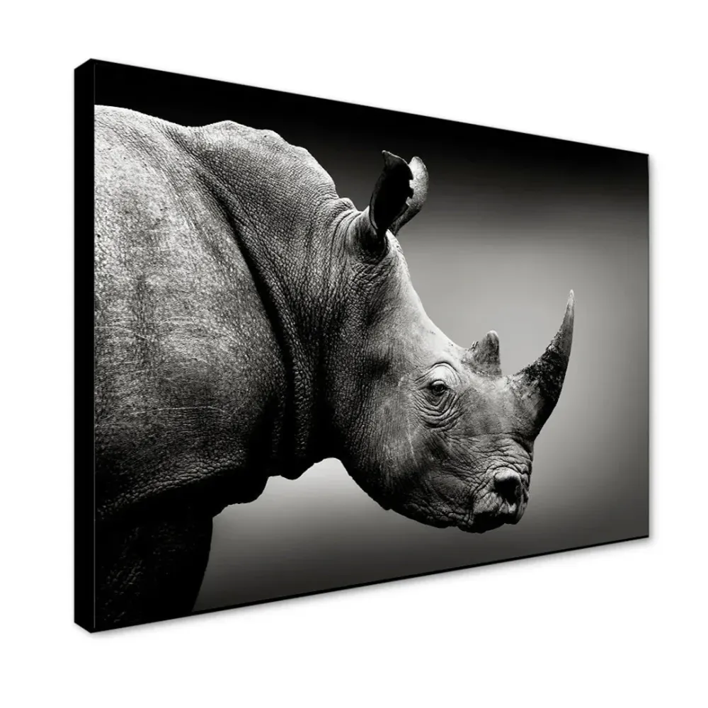 Monochromatic Rhino Portrait Canvas Painting With Floating Frame