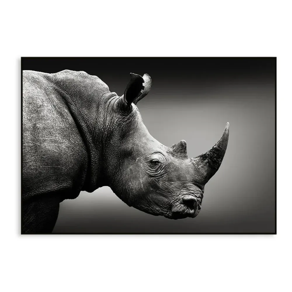 Monochromatic Rhino Portrait Canvas Painting With Floating Frame