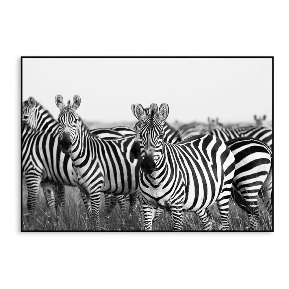 Monochromatic Zebra Wildlife Painting With Floating Frame