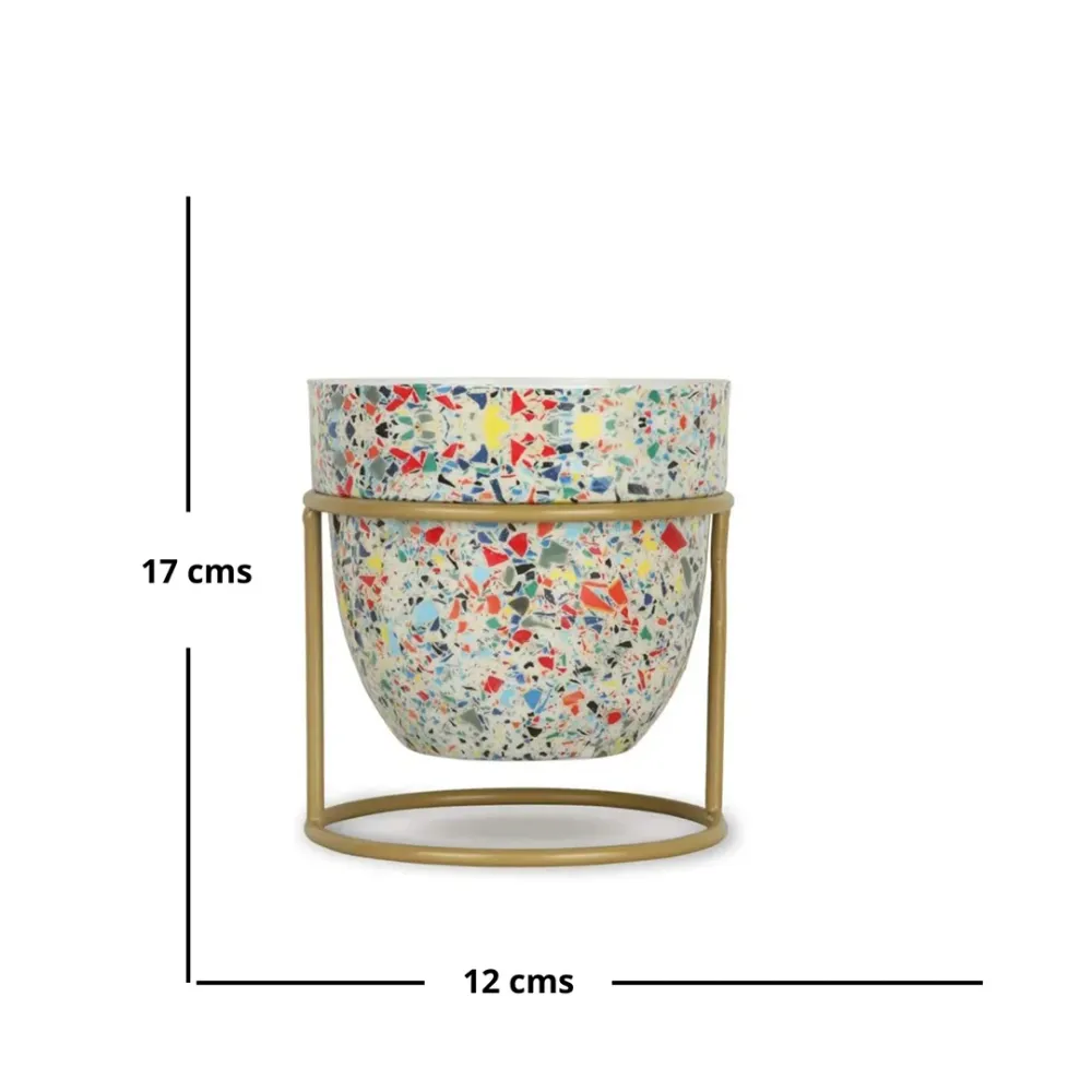 Multicolor Desktop Meena Planter with Stand