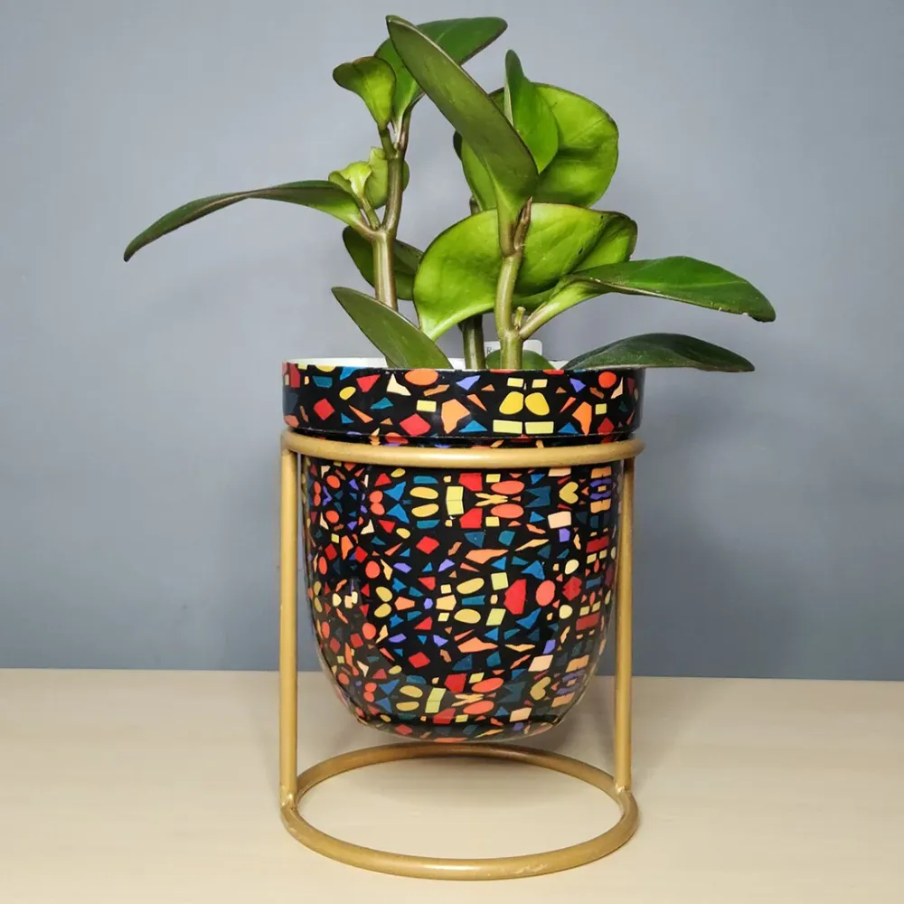 Multicolor Metal Flora Desktop Planter with Stand