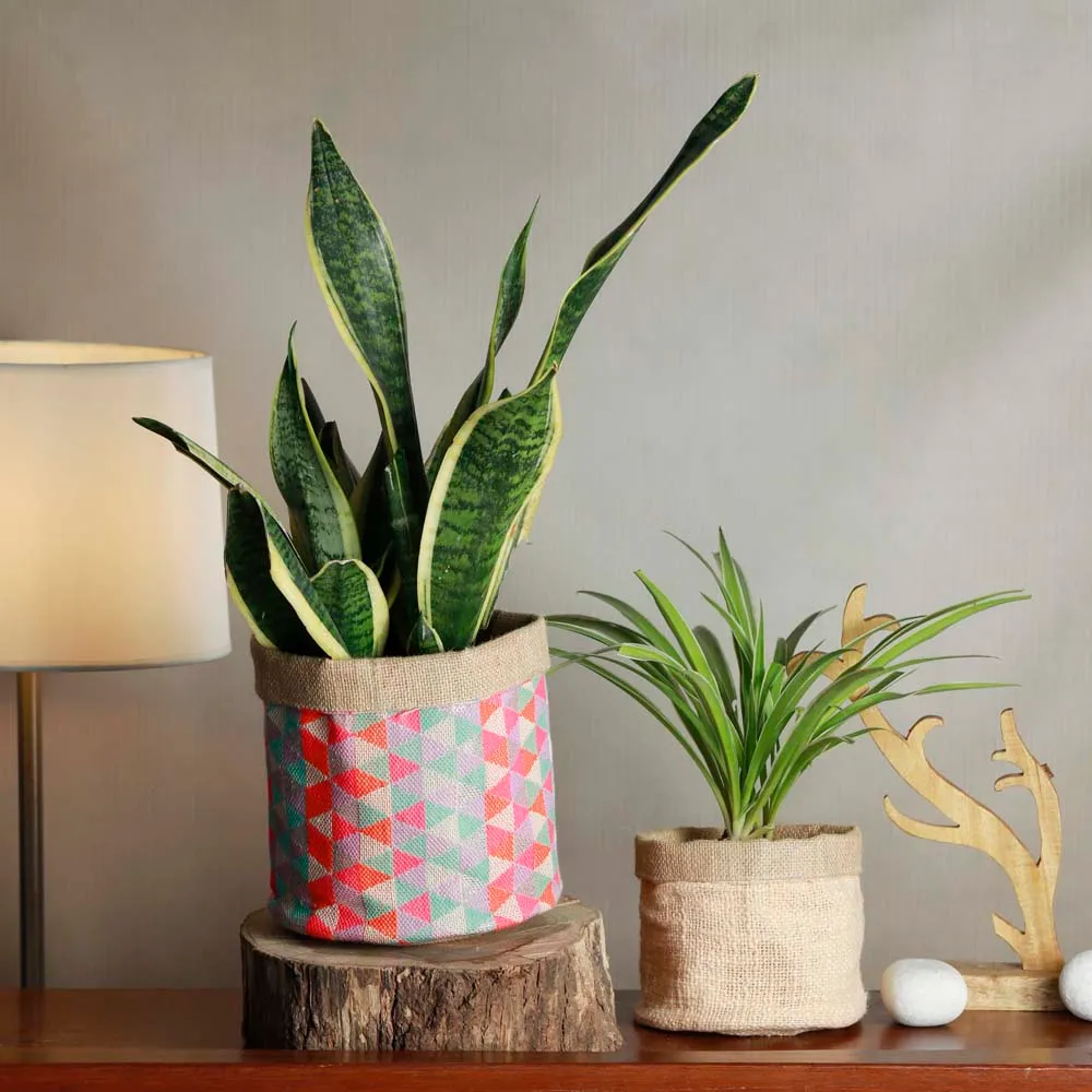 Pink & Blue Designer Printed Cotton & Jute Planters Set Of 2