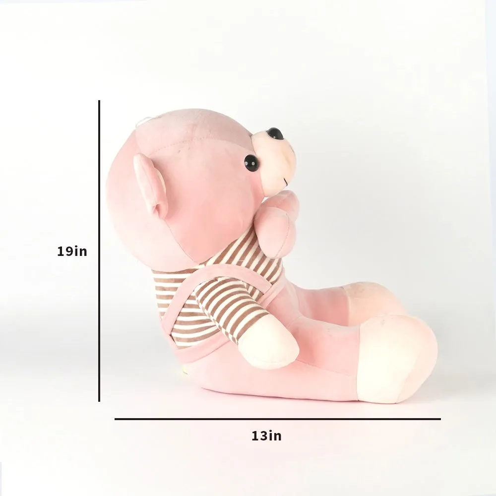 Pink Teddy In Bow Mushy Soft Toy
