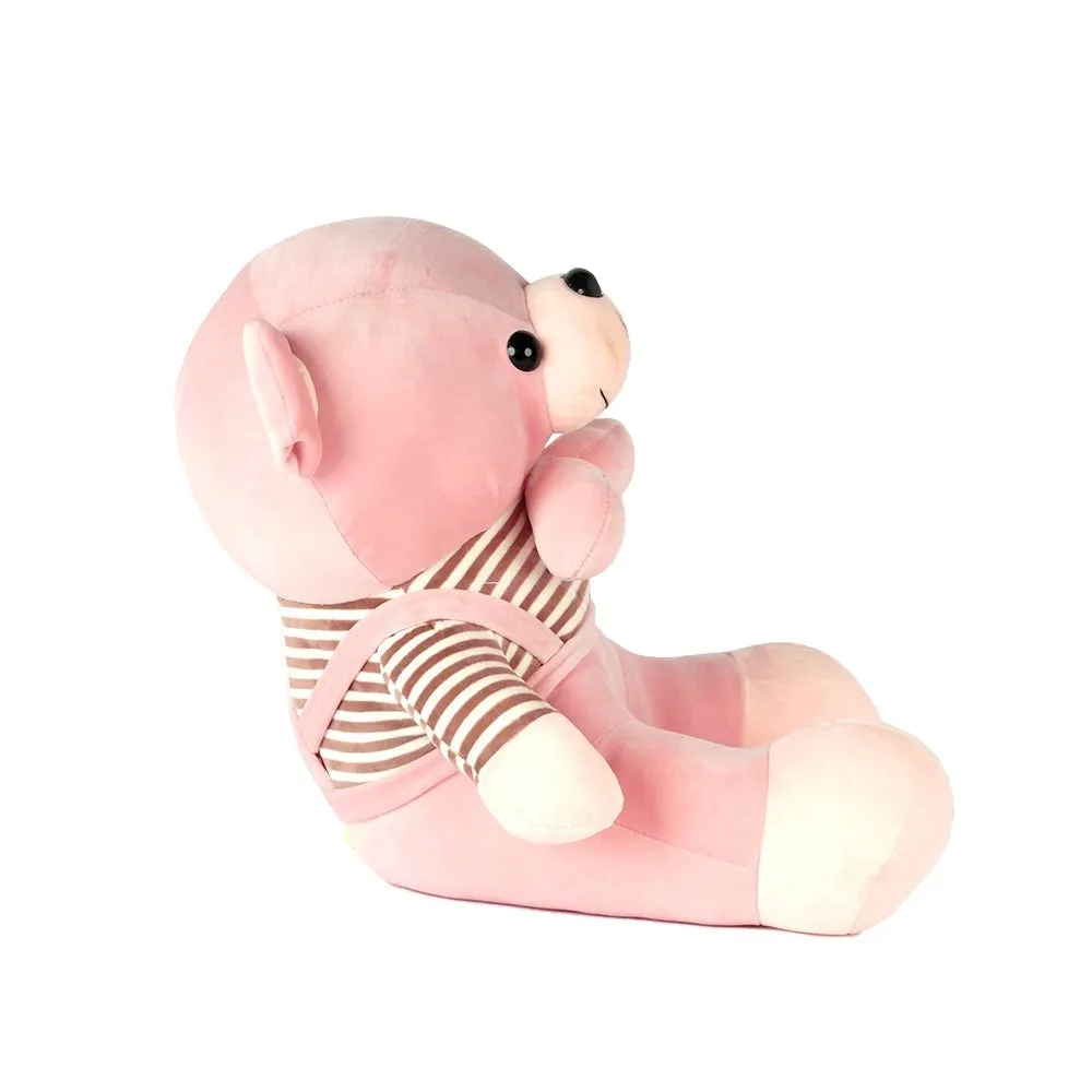 Pink Teddy In Bow Mushy Soft Toy