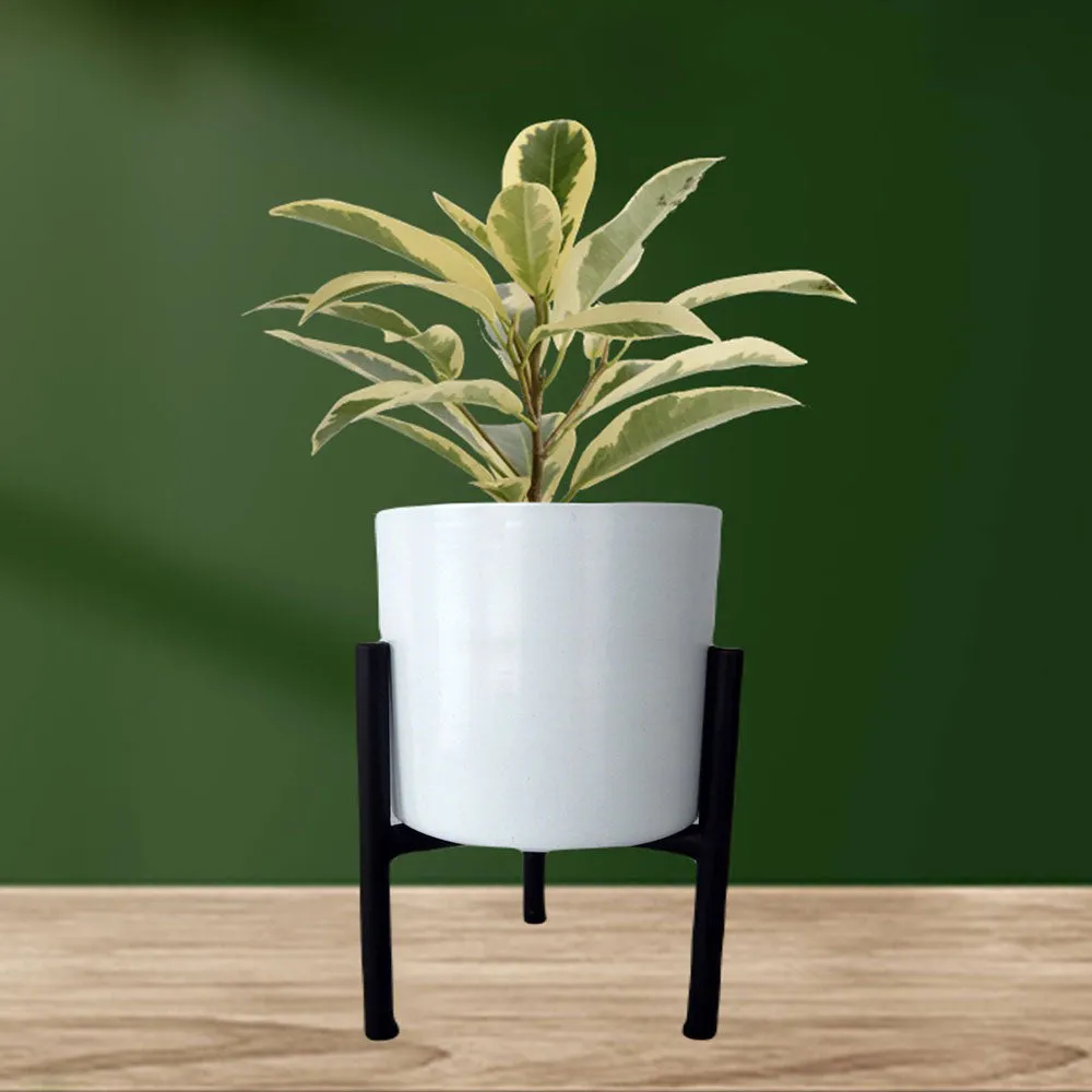 Polished White Metal Plant Pot With Stand Set Of 1 & 2