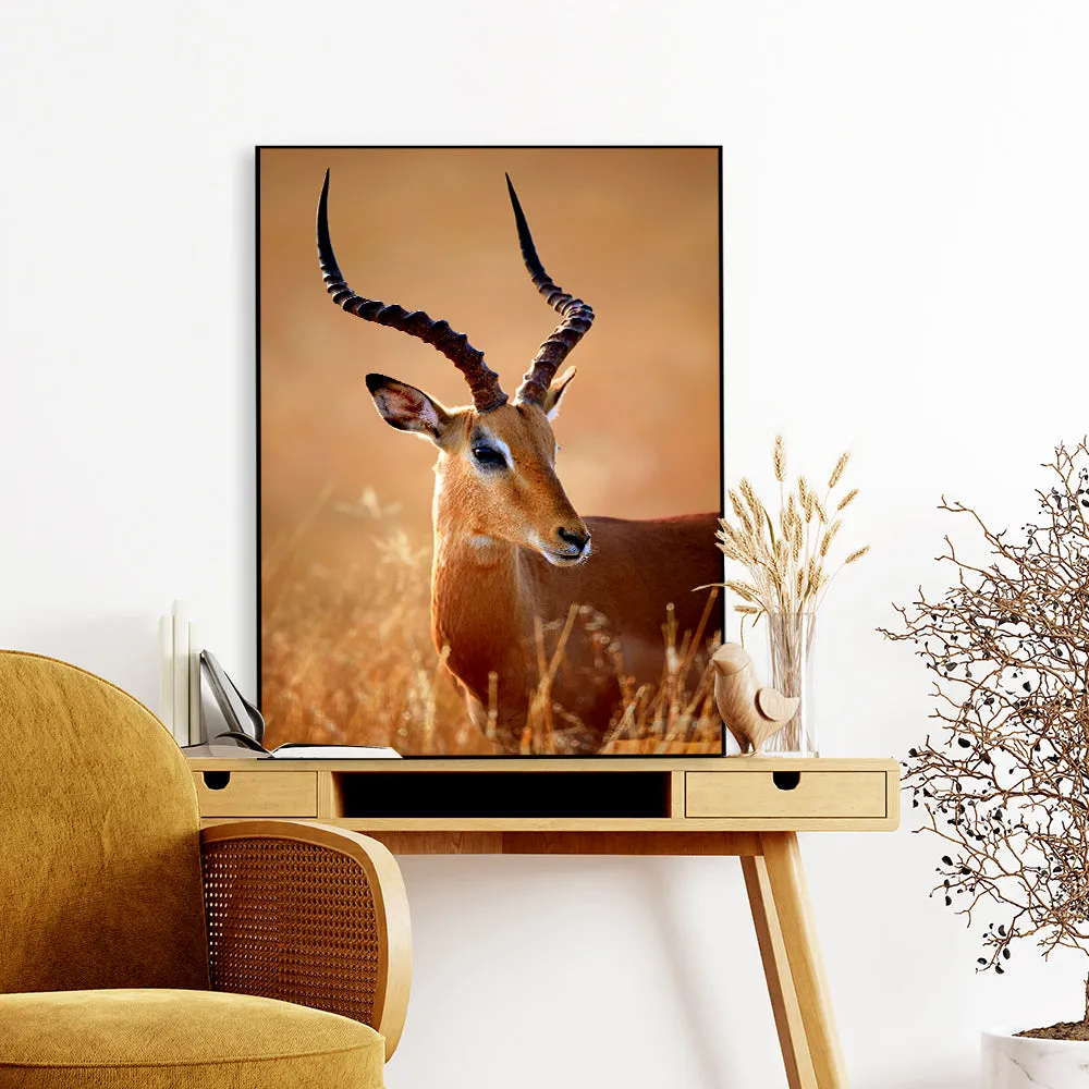 Realistic Impala Male Wildlife Wall Art With Floating Frame