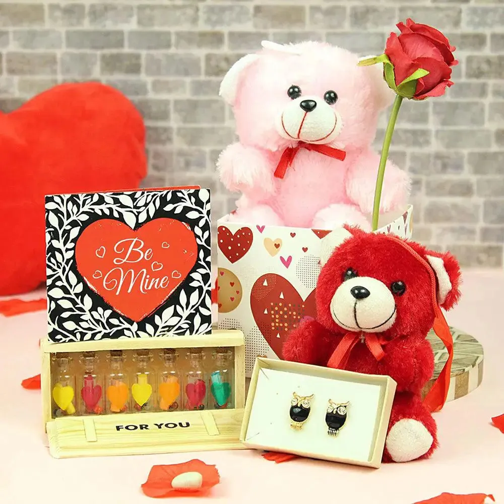 Red & Pink Adorable Valentine's Day Combo Gift Set