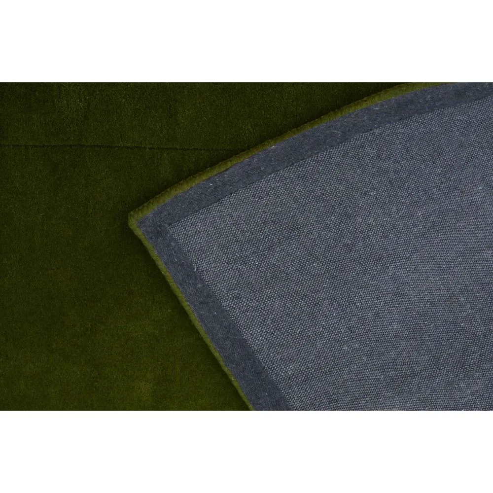 Rich Green Basic Tufted Area Carpet 2X5ft