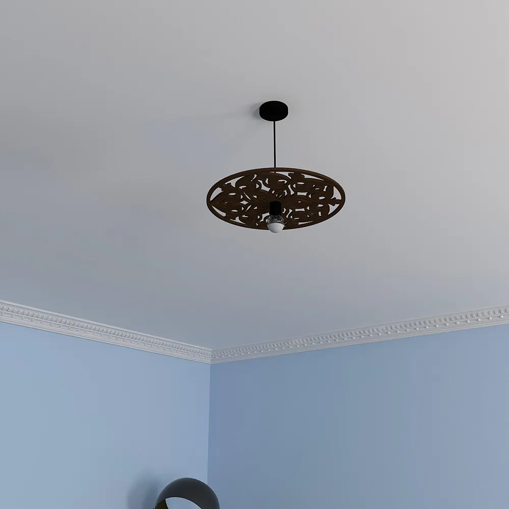Round Intricate Designer Ceiling Shadow Lamp
