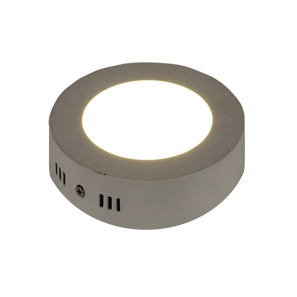 Round Surface Bright White 6W Penal Light