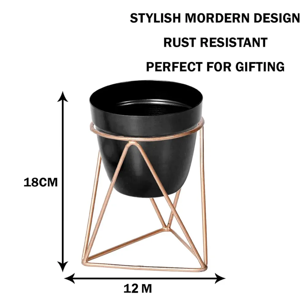 Royal Black and Gold Resilient Metal Plant Pot Single Piece
