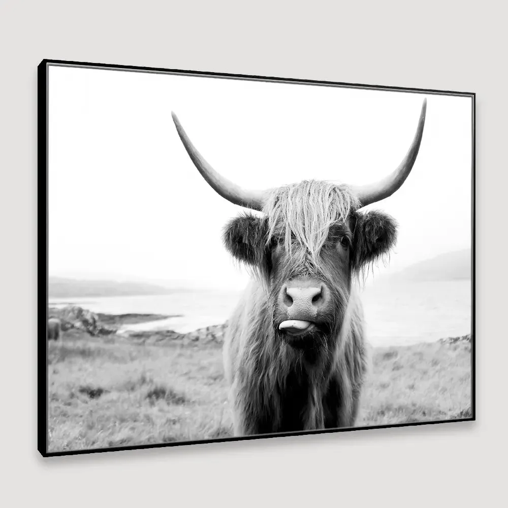 Scottish Highland cattle Framed Wall art With Floating Frame
