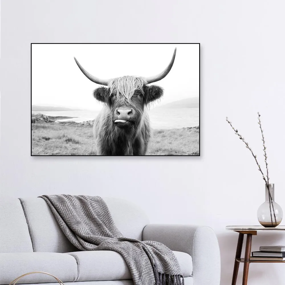 Scottish Highland cattle Framed Wall art With Floating Frame