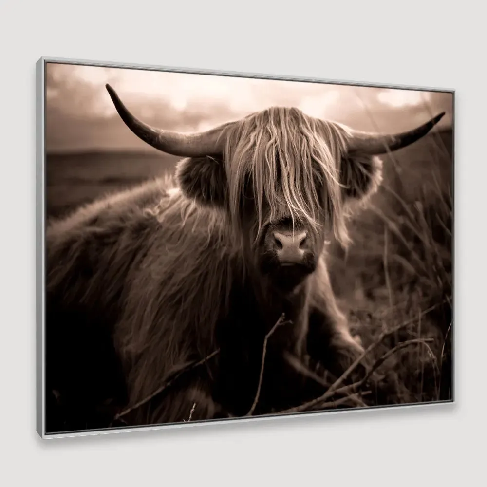 Scottish Highland Cow Framed Wall art With Floating Frame