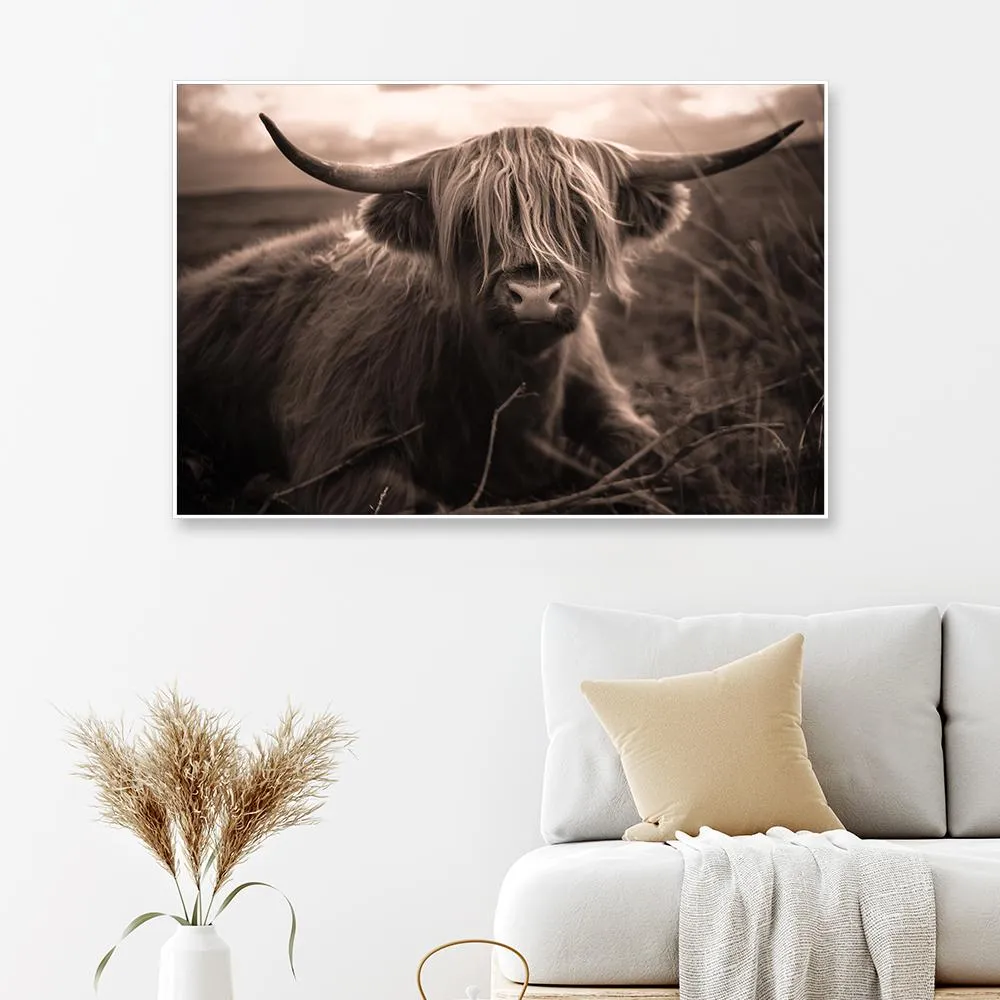 Scottish Highland Cow Framed Wall art With Floating Frame