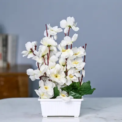 Serene White Artificial Orchid With Pot
