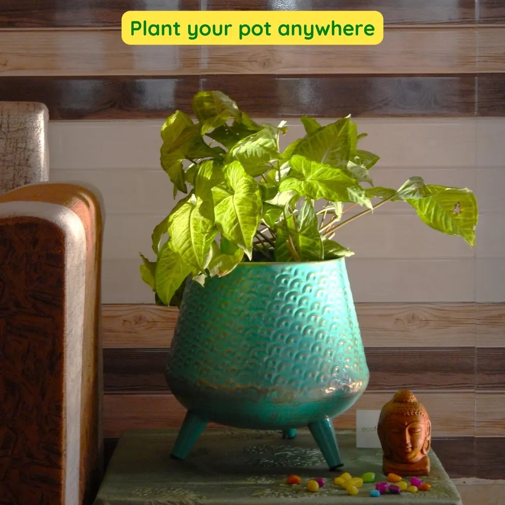 Set of 2 Turquoise Green Textured Rustic Indoor Metal Plant Stand with Pot