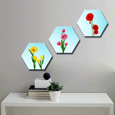 Set of 3 Beautiful Flowers Hexagon Shape Canvas Wall Painting