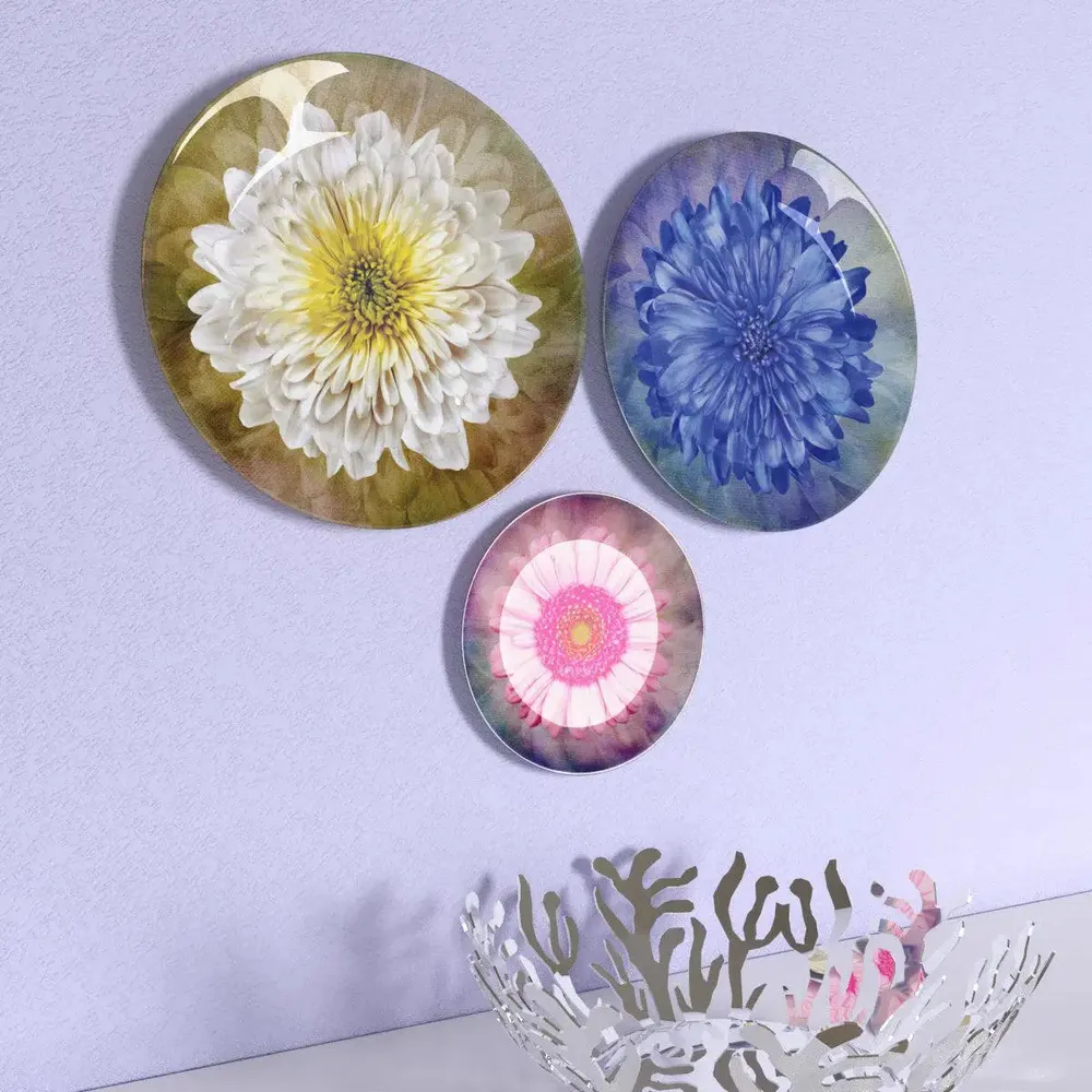 Set of 3 Ceramic Wall Plates With Flower Art Design, Wall Hanging Plate