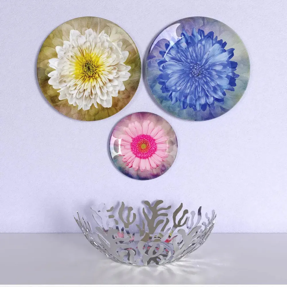 Set of 3 Ceramic Wall Plates With Flower Art Design, Wall Hanging Plate