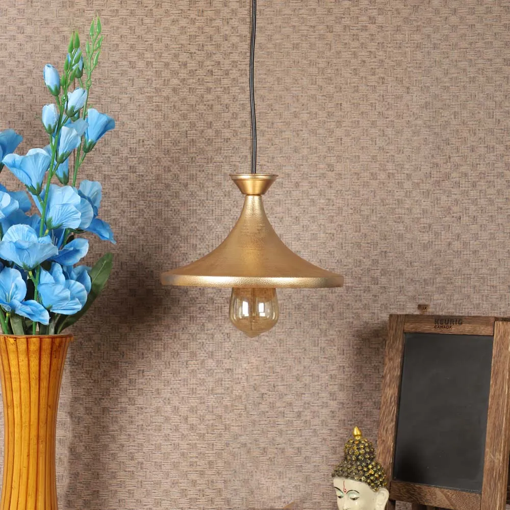 Shiny Gold Finish Focus Hanging Light