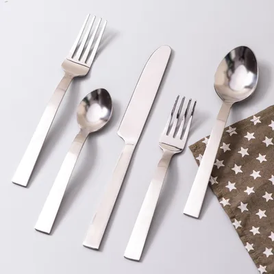 Silver Stainless Steel Dipped Cutlery Set of 5