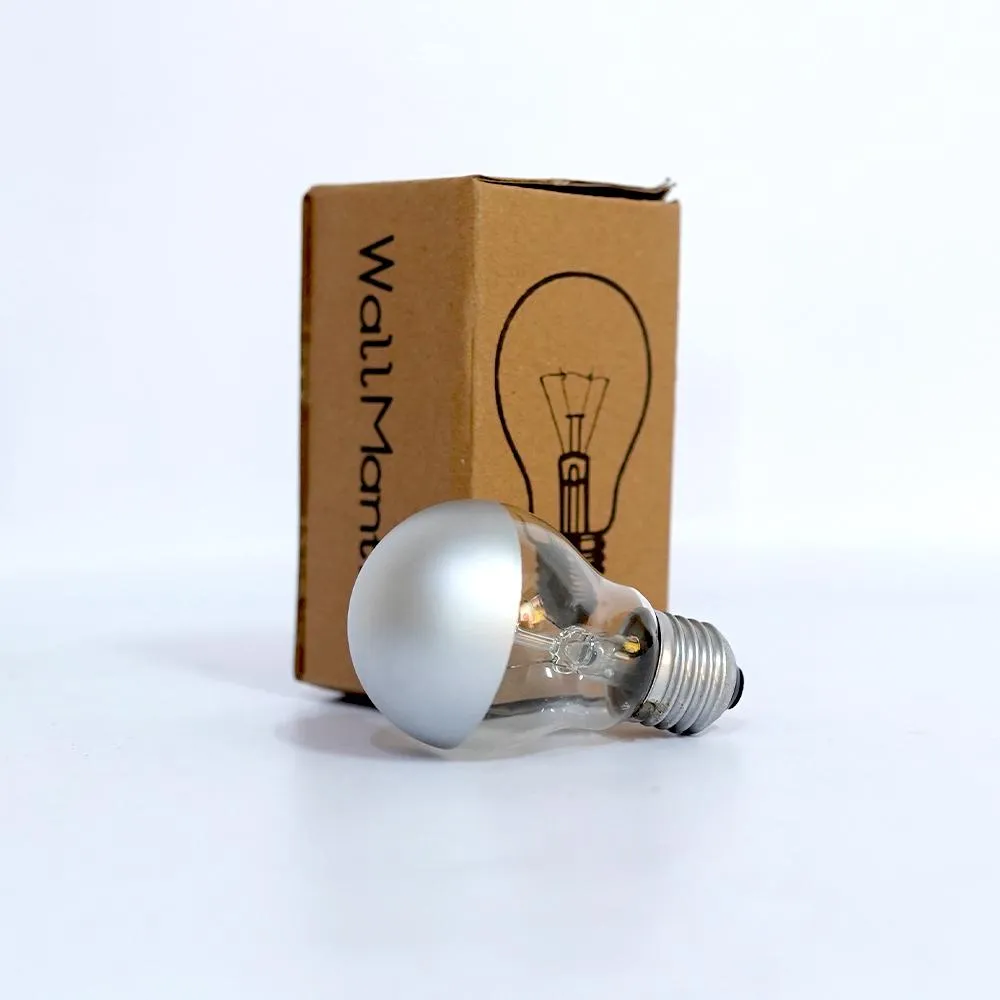 Silver Tipped 100 Watt Filament Bulb Single