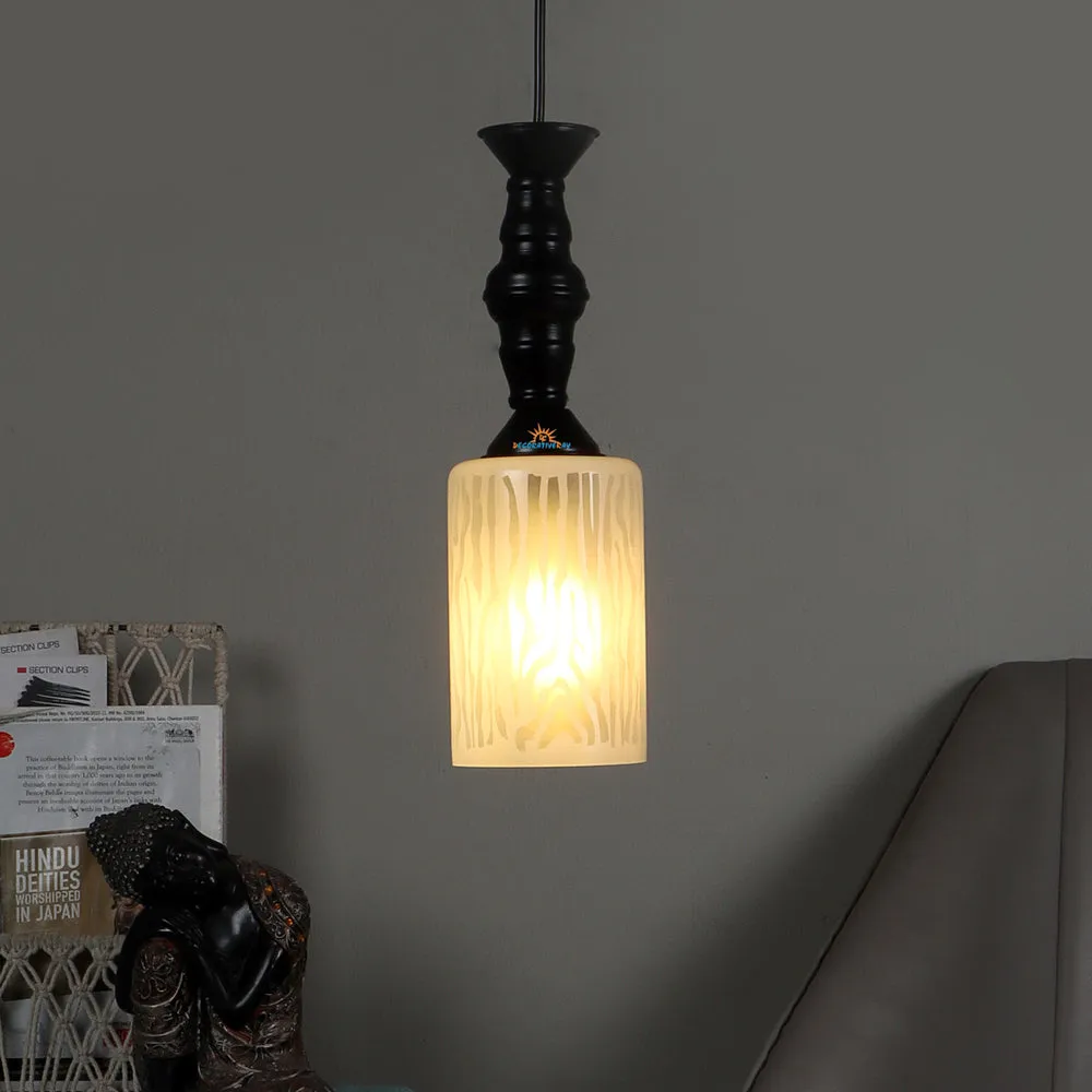 Single Glass Black Metal Light with Extendable Wire for Hanging