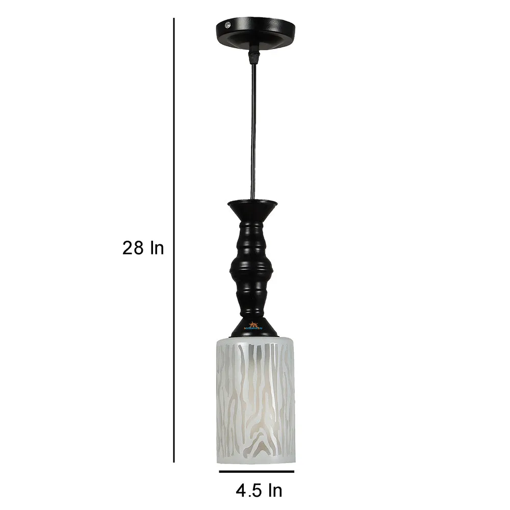 Single Glass Black Metal Light with Extendable Wire for Hanging