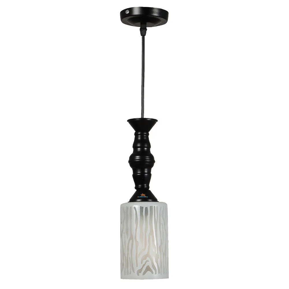 Single Glass Black Metal Light with Extendable Wire for Hanging