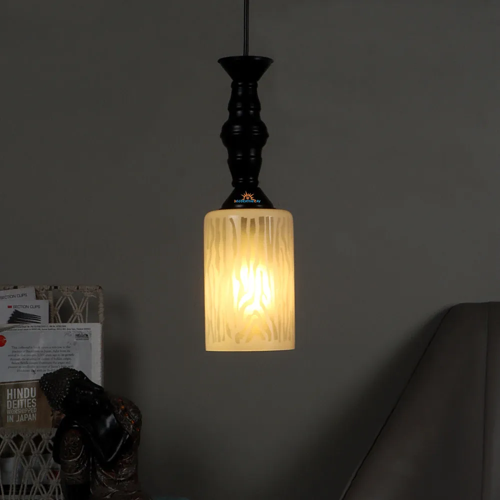Single Glass Black Metal Light with Extendable Wire for Hanging