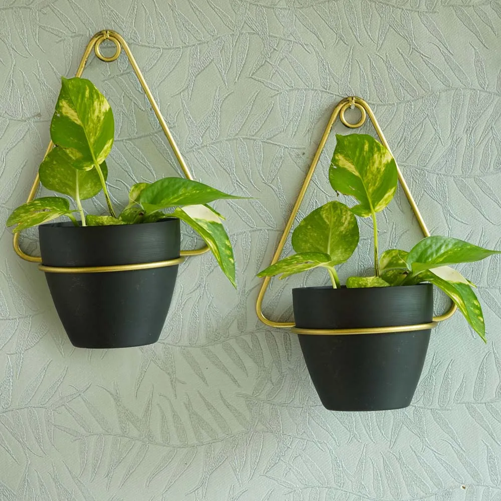 Sleek & Style Hanging Wall Mounted Metal Planter With Pot Set Of 2