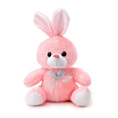 Soft Feel Mushy Little Rabbit Soft Toy