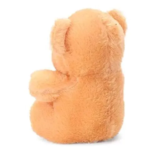 Soft Mushy Brown Teddy Bear