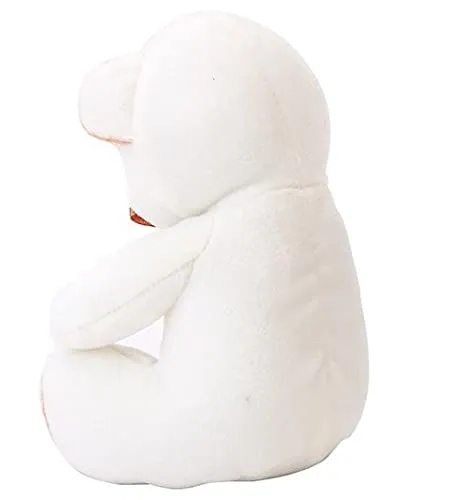Soft Mushy White Teddy Bear