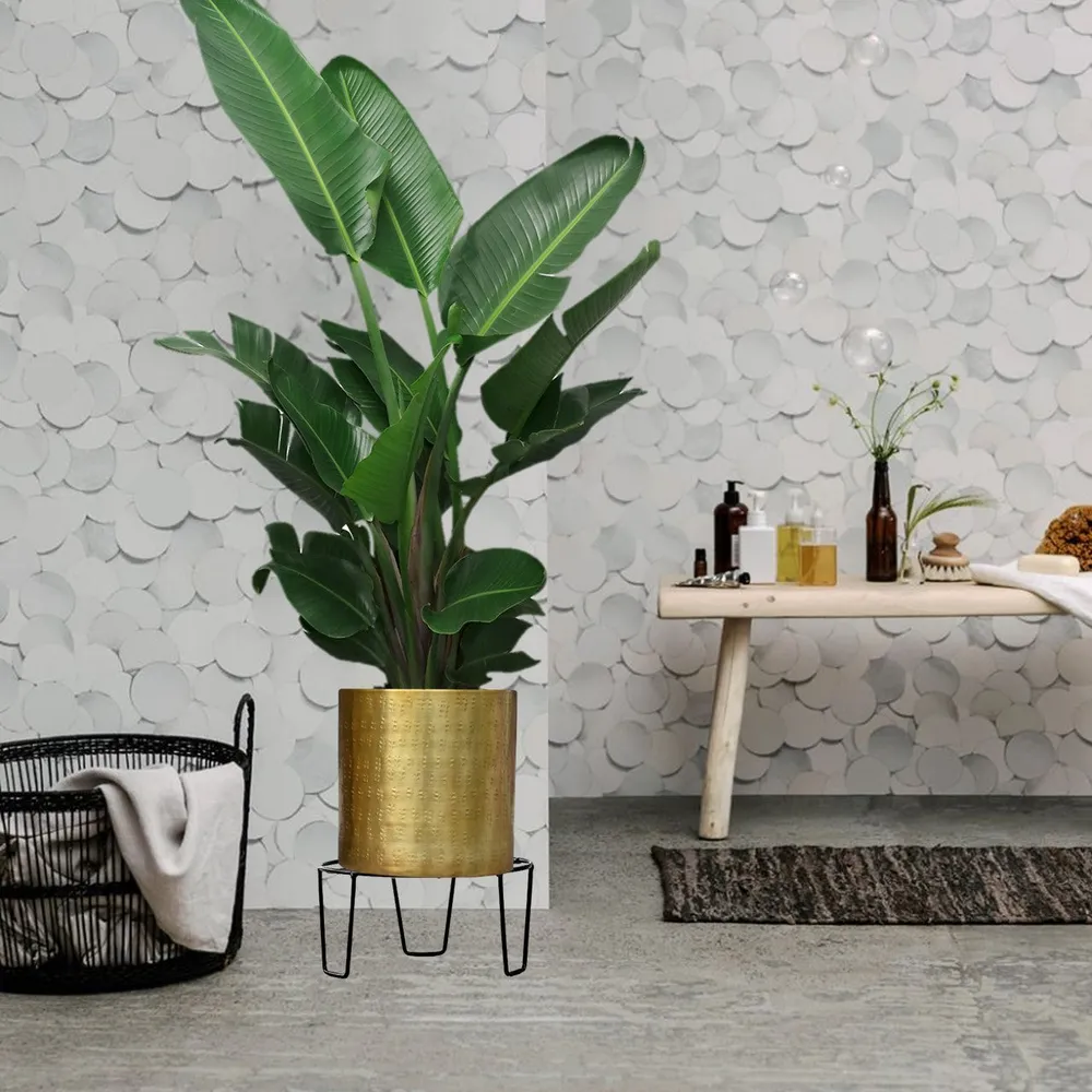 Standard Black Metal Plant Holder Set Of 9